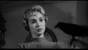 Psycho (1960)Janet Leigh and birds